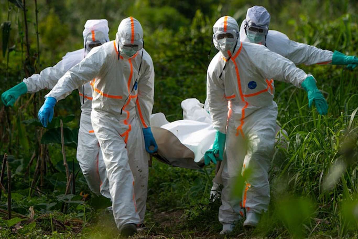 شمار جان باختگان براثر بیماری ابولا در اوگاندا به 23 نفر افزایش یافت
